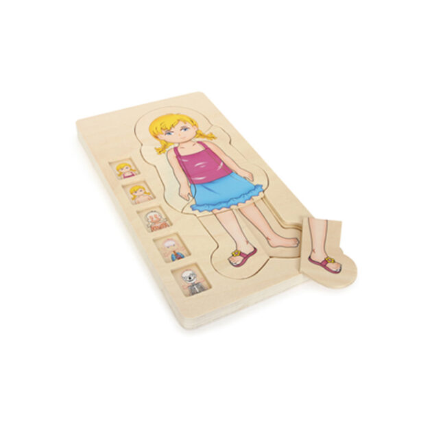 puzzle corpo humano feminino